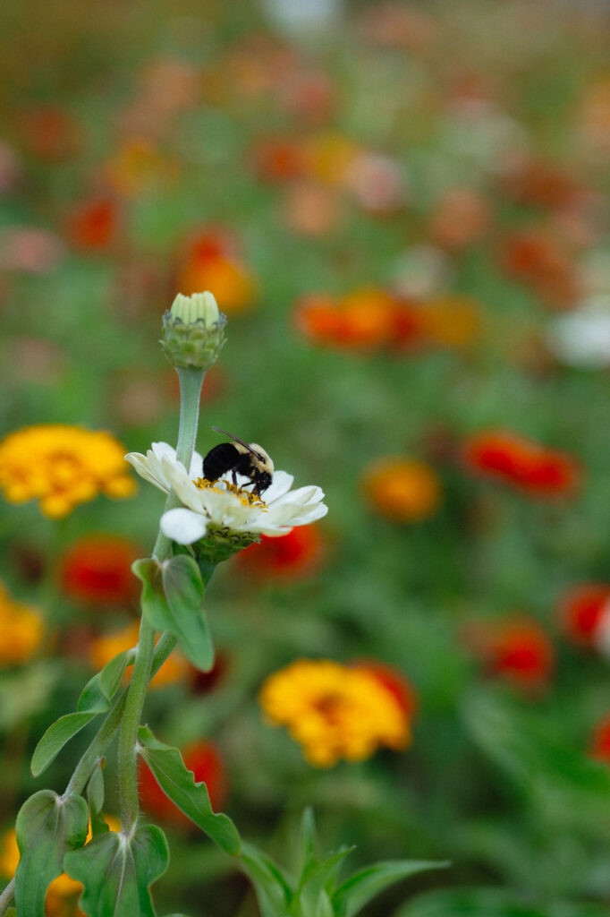 Mpsmith.studioschickel 118