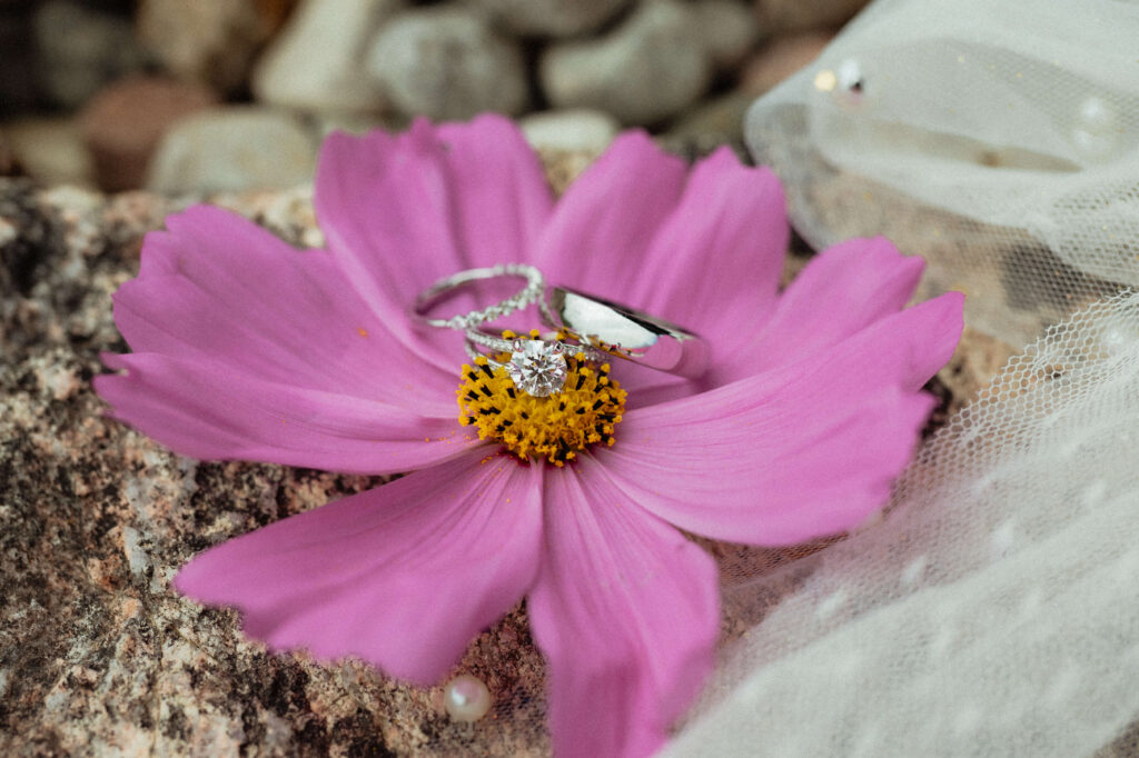 Mpsmith.studioschickel 25